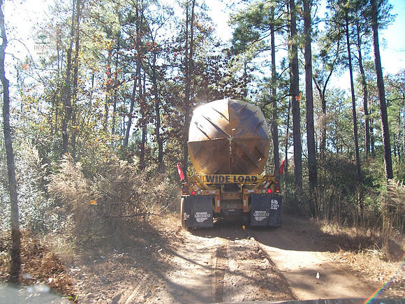 100 in spade a pine source