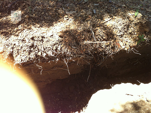 IMG_0721