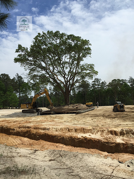 Davant Plantation GC, SC