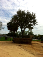 Houston Zoo