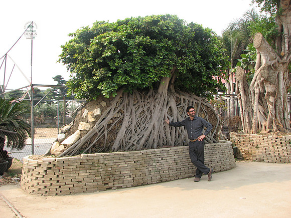Character Trees I