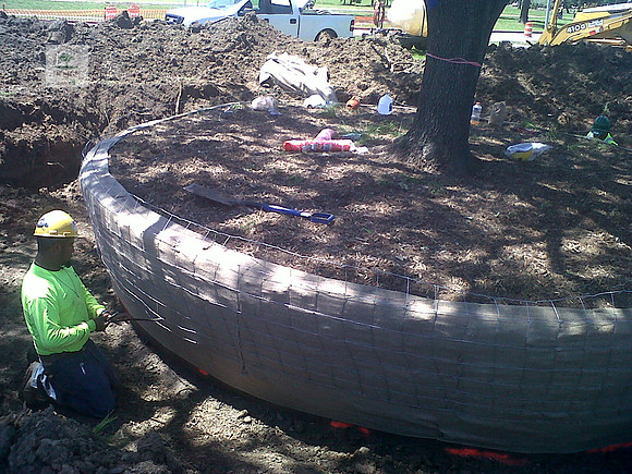 IMG00084-20120425-1426
