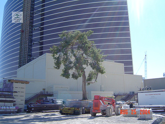 8-26-04 035