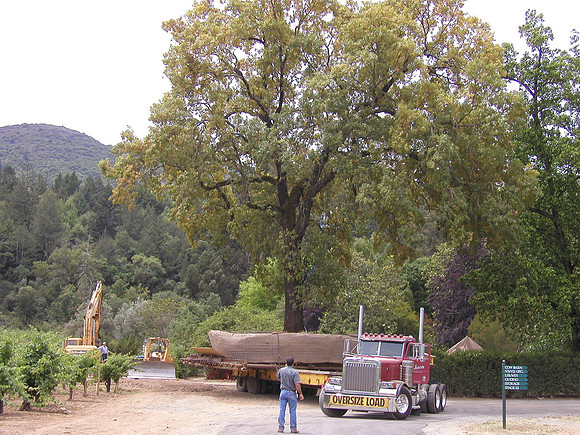 P5270073
