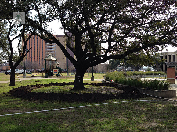 IMG_0057