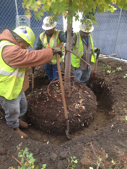 IMG_5027