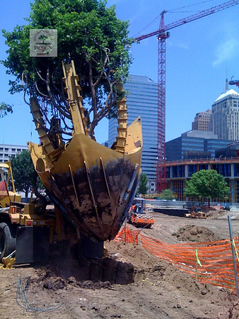 80 90 inch spade