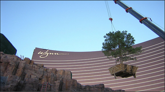 Wynn Resort, Las Vegas, NV