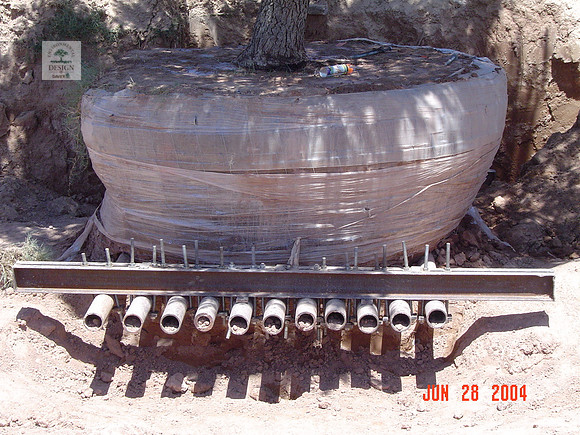 6-28-04 006_2