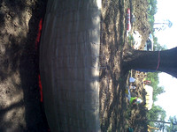 IMG00086-20120425-1427