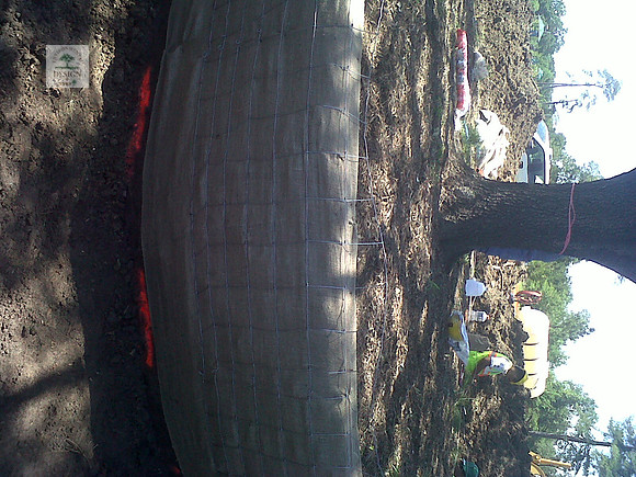 IMG00086-20120425-1427