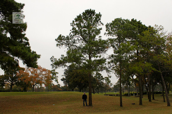 ROCC #304 - 15" Pine