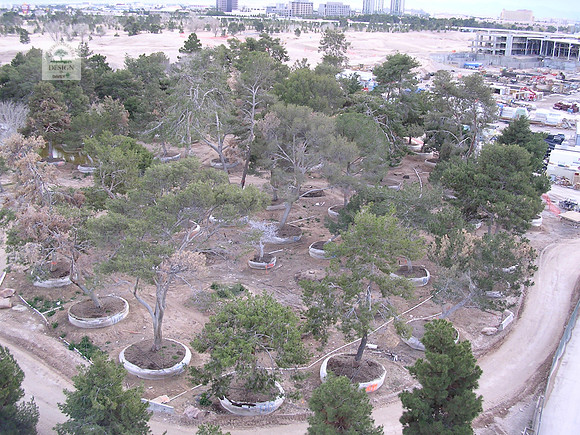 Wynn Hotel and Golf Course 179