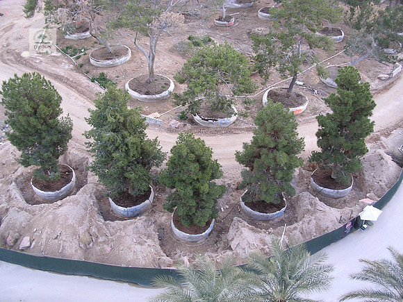 Wynn Hotel and Golf Course 178